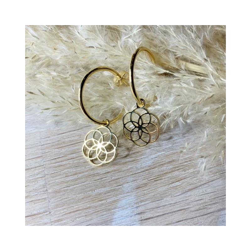 Créoles Graine de vie